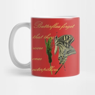 Butterflies Forget They Were Once Caterpillars Proverbial Text Mug